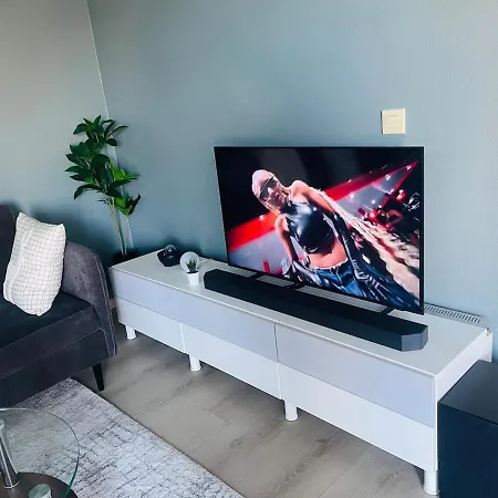 A Bright And Furnished