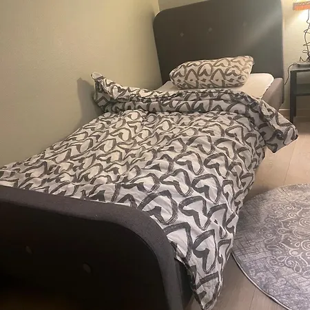 A Bright And Furnished Στάβανγκερ