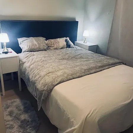 A Bright And Furnished *