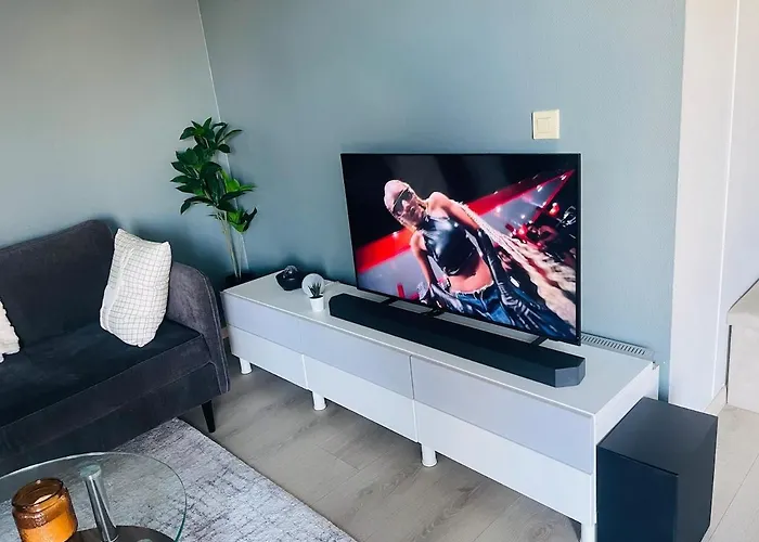 A Bright And Furnished