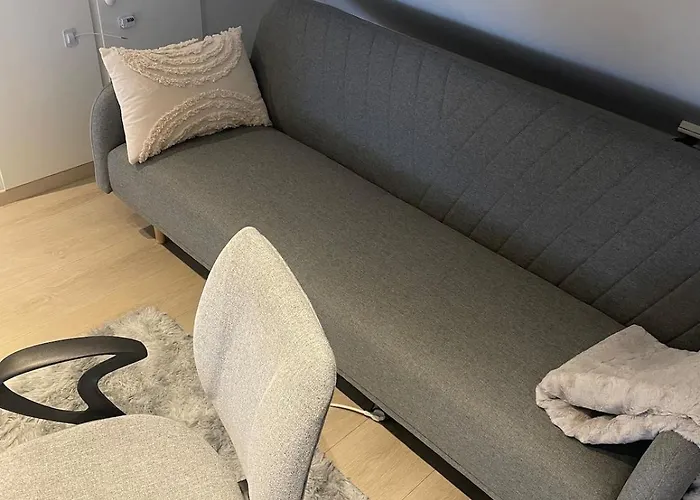 A Bright And Furnished * Stavanger