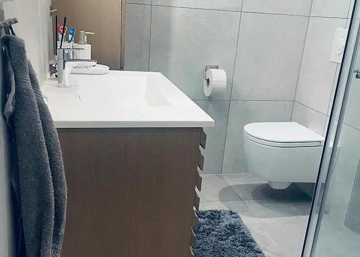 A Bright And Furnished *