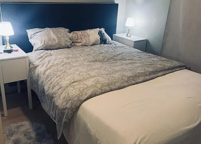 A Bright And Furnished *